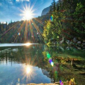 Meet your Posher, Fernandez